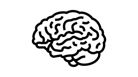 Brain anatomy organ line icon animation Stock Footage 224924405