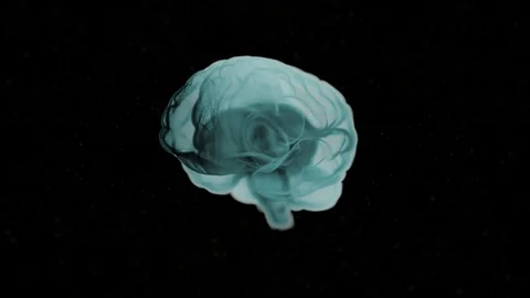 Brain anatomy. Realistic human brain in green shades rotating over black o Stock Footage 125961796