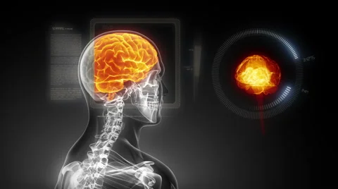 BRAIN ANATOMY SCAN Stock Footage