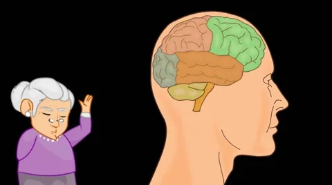 Brain Anatomy  - Vector Cartoon - Black Background -  grandma Stock Footage 60252795