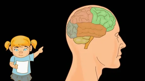 Brain Anatomy  - Vector Cartoon - Black Background -  girl Stock Footage 60252809