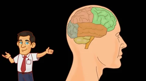 Brain Anatomy  - Vector Cartoon - Black Background - professor Stock Footage 60252822