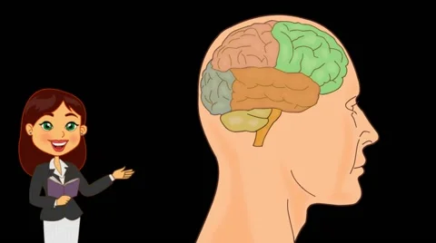 Brain Anatomy  - Vector Cartoon - Black Background -  teacher Stock Footage 60252848