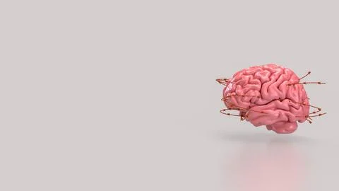 The Brain and barbed wire for sci or medical concept 3d Rendering. Stock Illustration