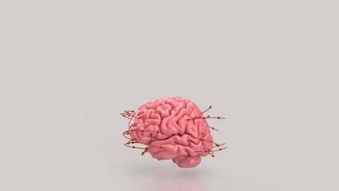 The Brain and barbed wire for sci or medical concept 3d Rendering. Stock Illustration
