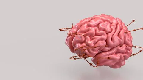 The Brain and barbed wire for sci or medical concept 3d Rendering. Stock Illustration