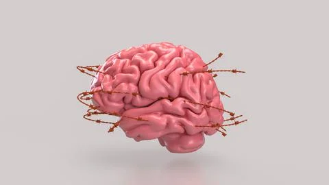 The Brain and barbed wire for sci or medical concept 3d Rendering. Stock Illustration