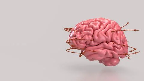 The Brain and barbed wire for sci or medical concept 3d Rendering. Stock Photos