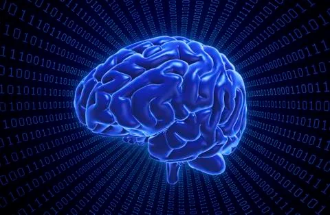 Brain and binary code, artwork Illustrazione stock