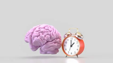 The Brain and clock for sci or health concept 3d Rendering. Illustrazione stock