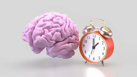 The Brain and clock for sci or health concept 3d Rendering. Stock Illustration
