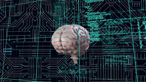 Brain and a digital circuit with program codes Stock Footage 112036229