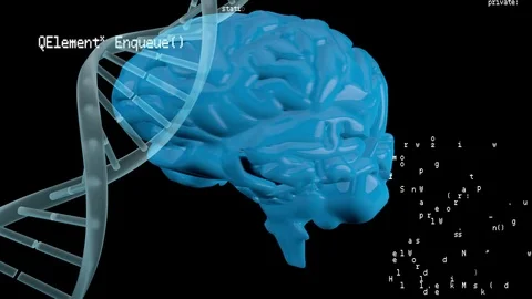 Brain and DNA helix with program codes Stock Footage 107653687