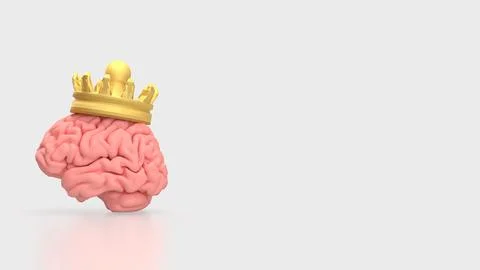 The Brain and gold crown for sci or medicine concept 3d Rendering.. Stock Illustration