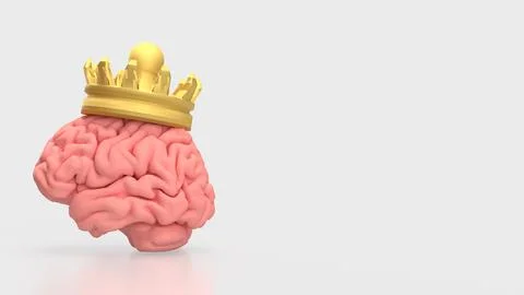 The Brain and gold crown for sci or medicine concept 3d Rendering.. Stock Illustration