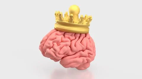 The Brain and gold crown for sci or medicine concept 3d Rendering.. Stock Illustration