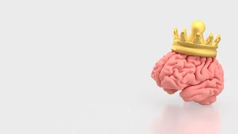 The Brain and gold crown for sci or medicine concept 3d Rendering.. Stock Illustration