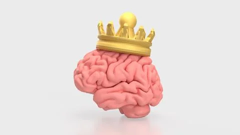 The Brain and gold crown for sci or medicine concept 3d Rendering.. Stock Illustration