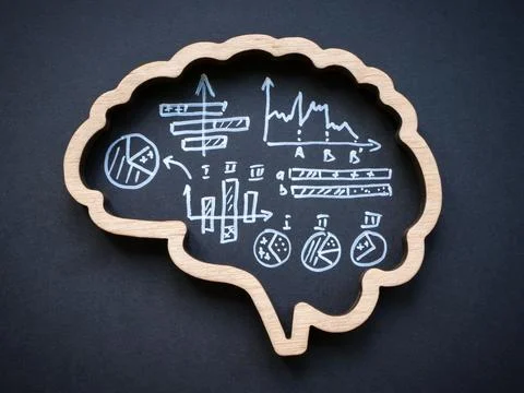A Brain and graphs with calculations inside as a symbol of analytical thinking. Stock Photos