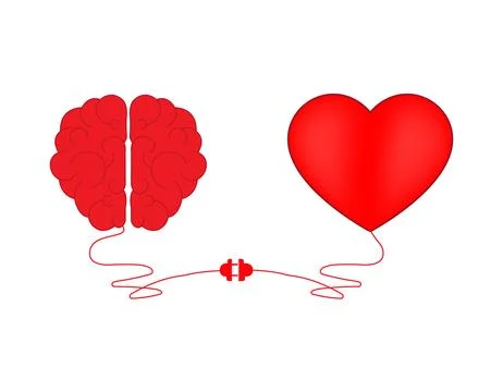 Brain and Heart interactions concept best teamwork Stock Illustration