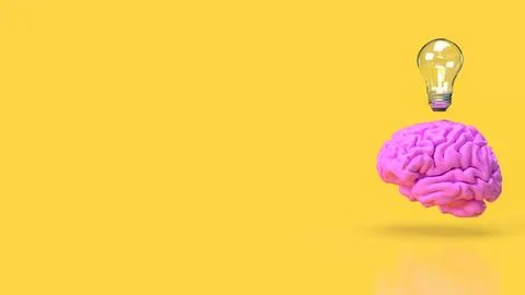 The Brain and light bulb for creative thinking or Brainstorm  concept 3d re.. Stock Photos