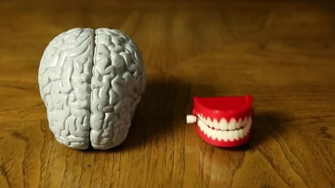 Brain and Mouth Stock Footage 81196170