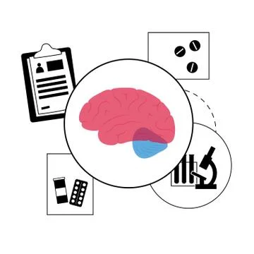 Brain and neurology Stock Illustration