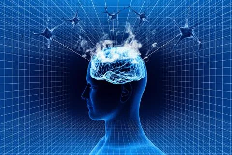 Brain and neuron Stock Illustration