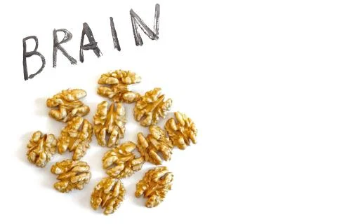 Brain and nuts on a white background, healthy eating concept Foto stock