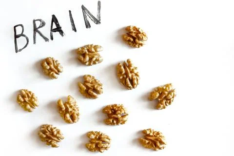Brain and nuts on a white background, healthy eating concept Stock Photos