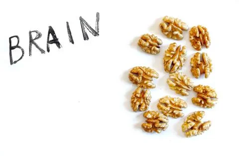 Brain and nuts on a white background, healthy eating concept Stock Photos