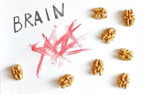 Brain and nuts on a white background, healthy eating concept Foto stock