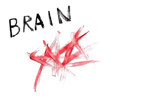 Brain and nuts on a white background, healthy eating concept Stock Photos