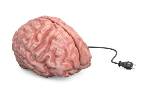 Brain and power plug, thinking concept. 3D illustration Stock Illustration
