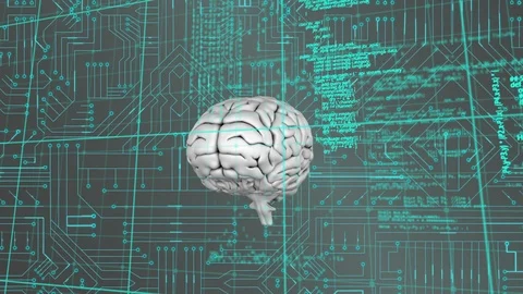 Brain and program codes with digital circuit Stock Footage 112040607