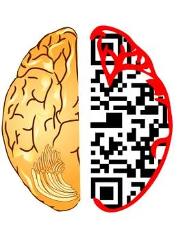 Brain and qr code Illustrazione stock