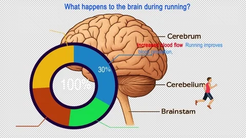 Brain and Run Stock Footage 323448949
