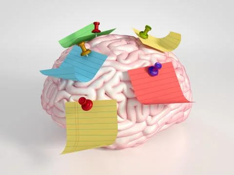 Brain and stickers Stock Photos
