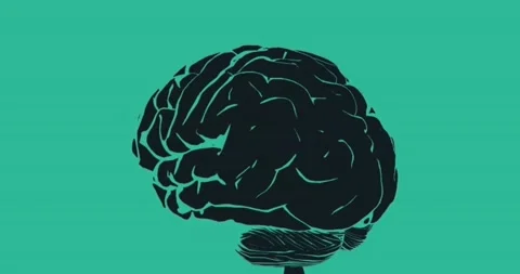 Brain Animation Stock Footage 144111268