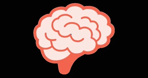 Brain Animation Stock Footage 144111339