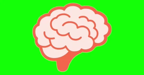 Brain Animation Stock Footage 144111348