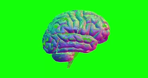 Brain Animation Stock Footage 144111601