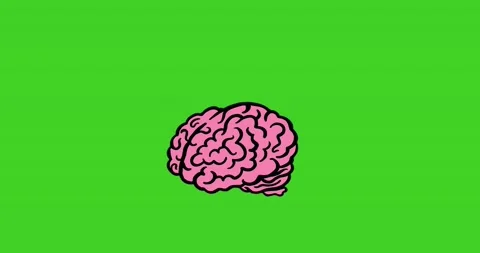 Brain Animation 스톡 동영상 144111605