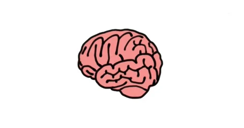 Brain Animation Stock Footage 144112412