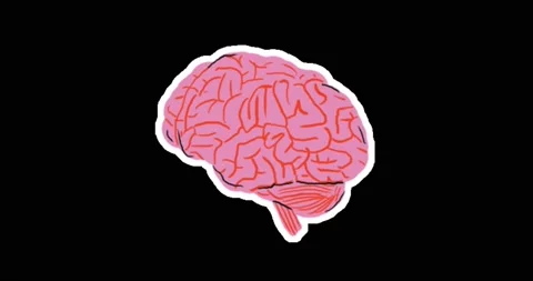Brain Animation Stock Footage 144112455