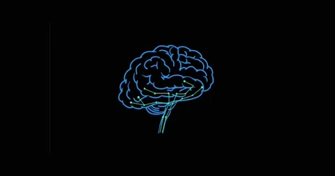 Brain Animation Stock Footage 144112485
