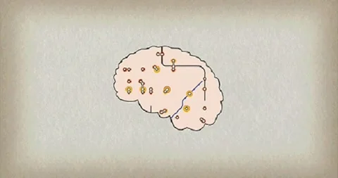 Brain Animation Stock Footage 144112537