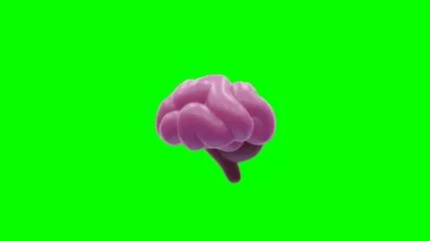 Brain animation on green screen Vidéo 330660982