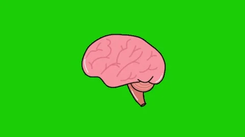 Brain animation on green screen 库存影片 334116903