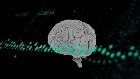 Brain animation over digital data and binary coding Stock Footage 306507382